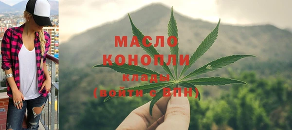 индика Дмитровск