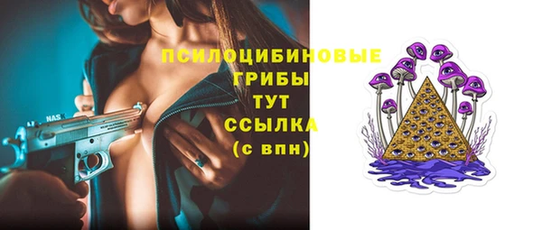 PSILOCYBIN Елабуга