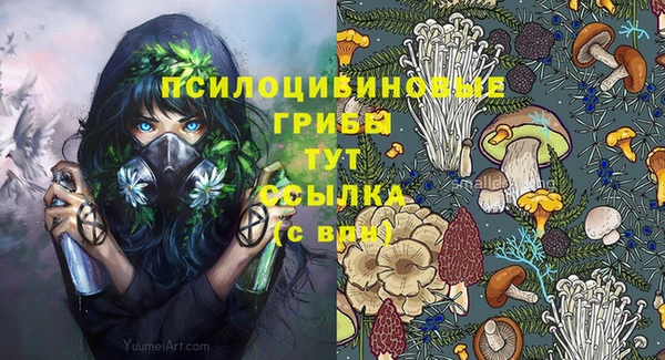 PSILOCYBIN Елабуга