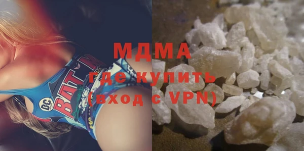 индика Елизово