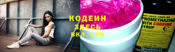 индика Дмитровск
