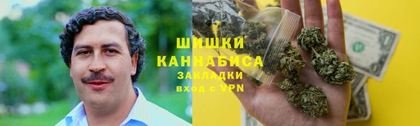 индика Дмитровск