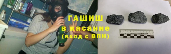индика Елизово