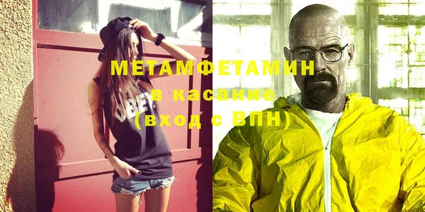 индика Елизово