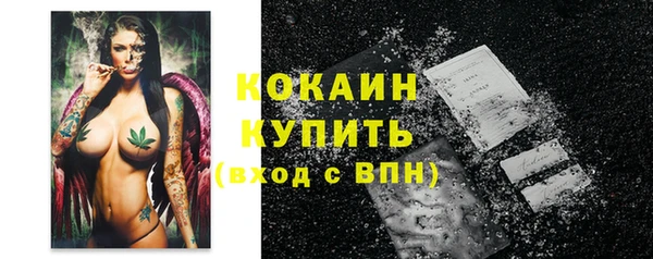 дмт Дмитриев
