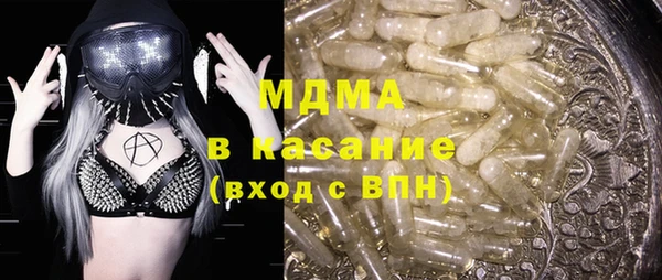 индика Елизово