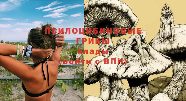 PSILOCYBIN Елабуга