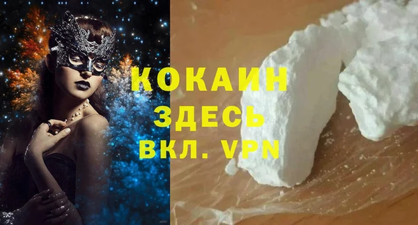 индика Дмитровск
