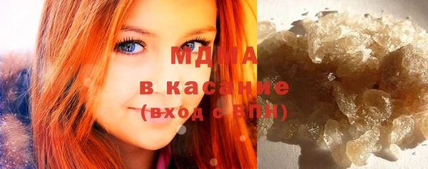 индика Елизово