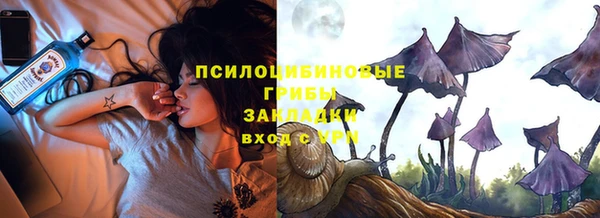 PSILOCYBIN Елабуга