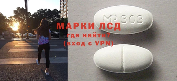 индика Елизово