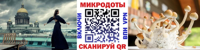 даркнет официальный сайт  Шарья  Псилоцибиновые грибы Cubensis 