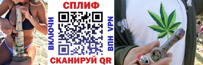 наркотики  Шарья  Бошки марихуана план 